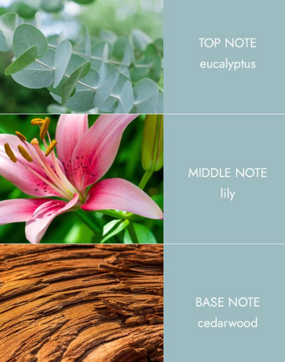 Room Spray - Botantical Breeze