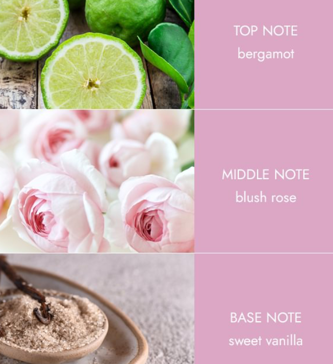 Wax Melts  - Loving Blooms