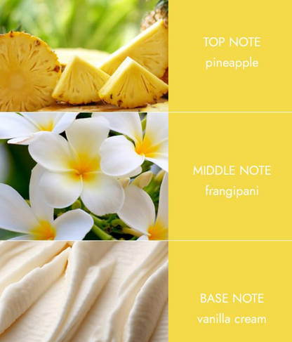 Ellipse Twin Wick - Summer Bliss