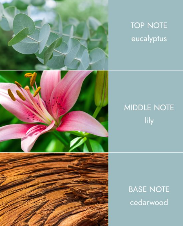 Reed Diffusers - Botantical Breeze
