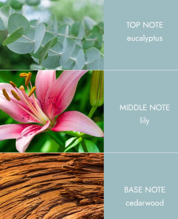 Essential Oils - Botanical Breeze