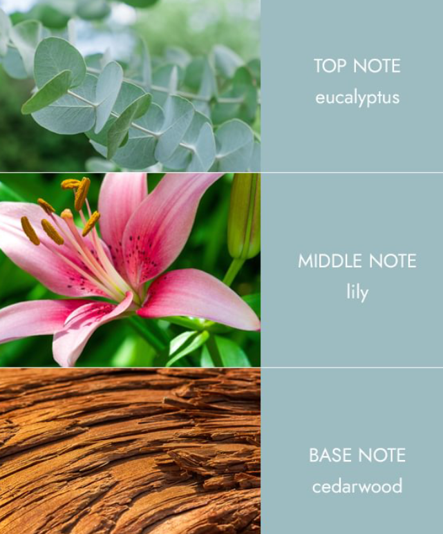 Tin Candle - Botanical Breeze