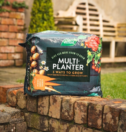 Westland Multi-Planter Peat Free - Medium