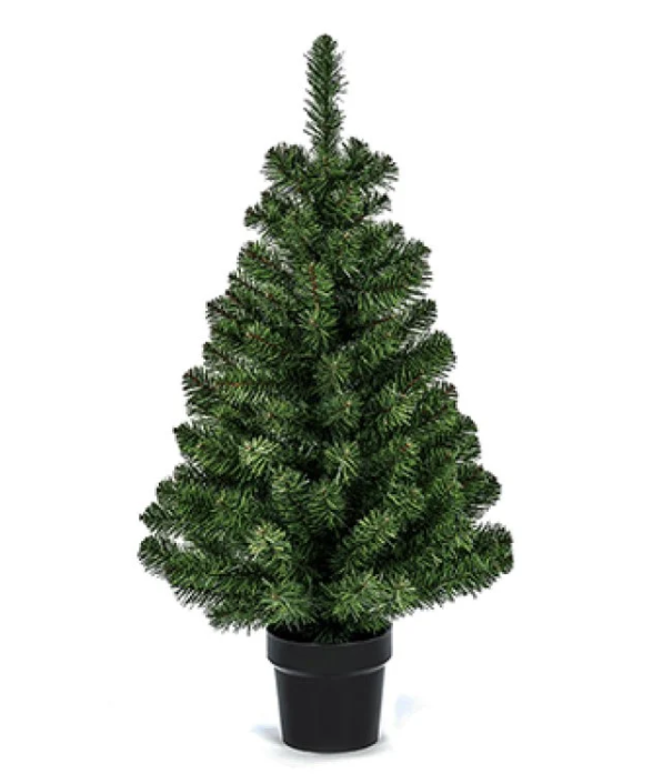 Premier 90cm Woodcote Spruce in Pot