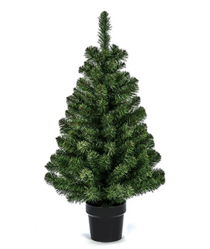 Premier 90cm Woodcote Spruce in Pot