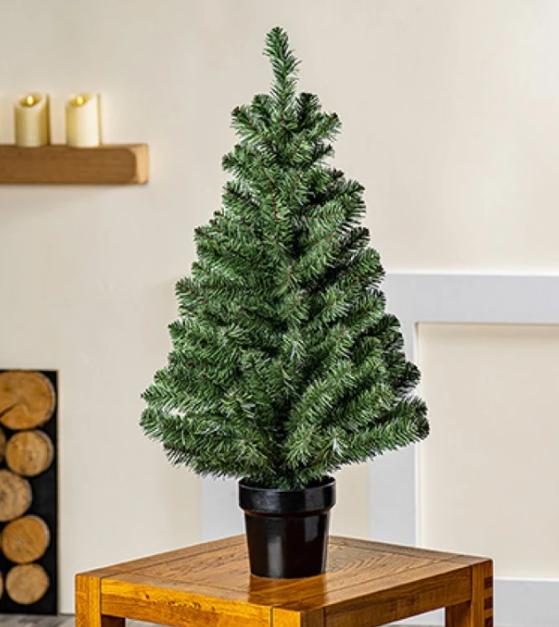 Premier 90cm Woodcote Spruce in Pot