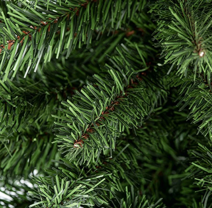 Premier 90cm Woodcote Spruce in Pot