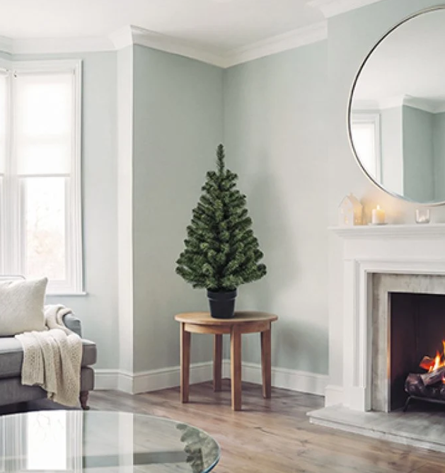Premier 90cm Woodcote Spruce in Pot