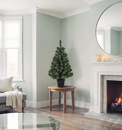 Premier 90cm Woodcote Spruce in Pot