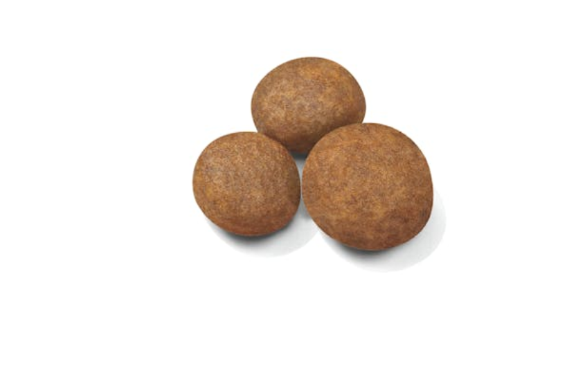 Royal Canin Maxi Puppy - 4kg