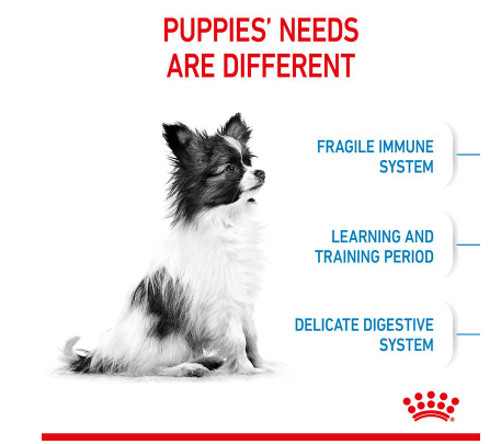 Royal Canin X-Small Puppy  1.5kg