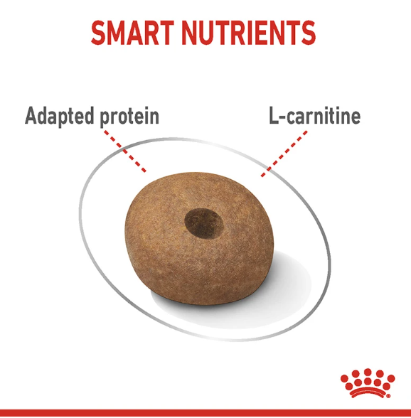 Royal Canin Light Weight Care Medium 3 kg