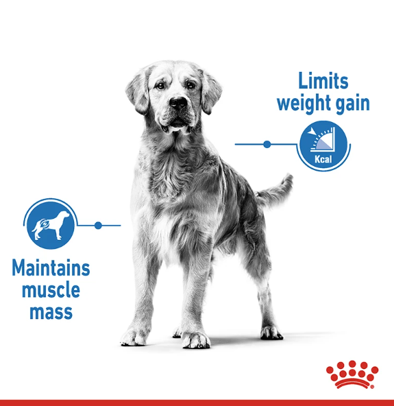 Royal Canin Light Weight Care Medium 3 kg