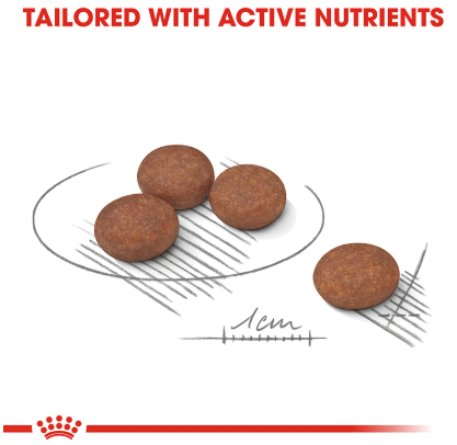 Royal Canin Digestive Care Mini 3 kg