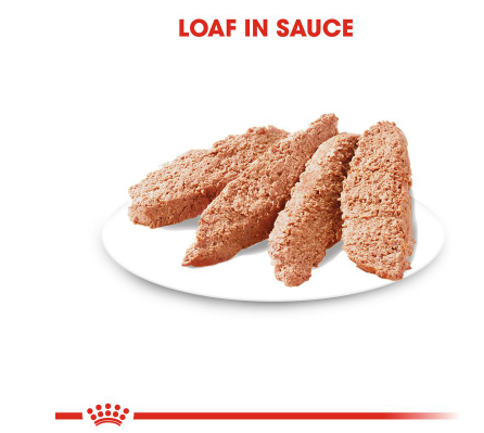 Royal Canin Digestive Care Loaf  12 x 85g