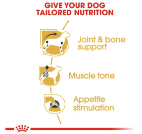 Royal Canin Dachshund Loaf 12 x 85 g