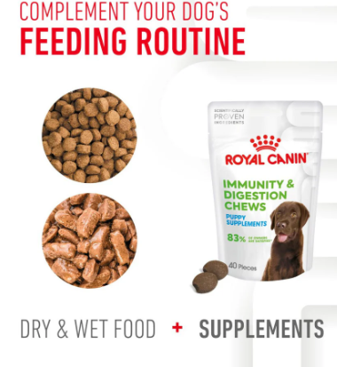 Royal Canin Digestion Supplement - Puppy 100g