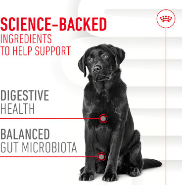 Royal Canin Digestion Supplement for Adult Dog 160g