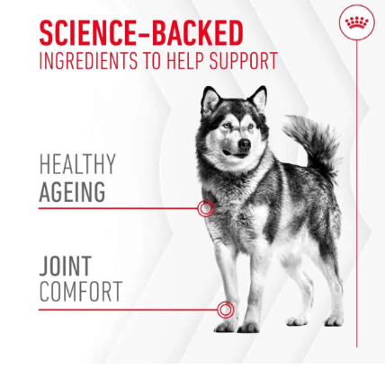 Royal Canin Joint & Ageing Supplement