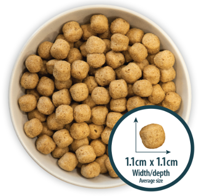 Burns Senior+ Chicken & Brown Rice 2kg