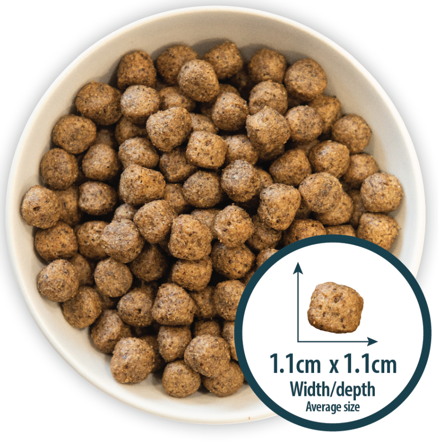 Burns Puppy Free From Duck & Potato 2KG