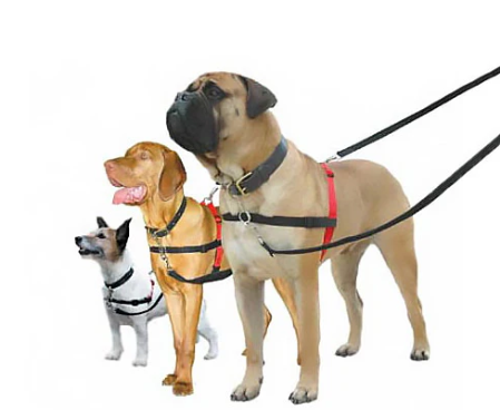 Halti Harness - Front Control