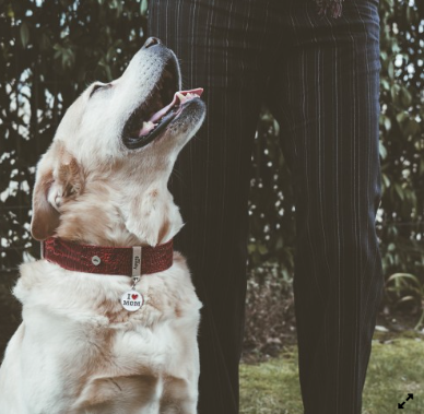 MyFamily Charms Big "I Love Mom" ID Tag
