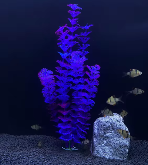 Cheeko Purple Indian Swampweed