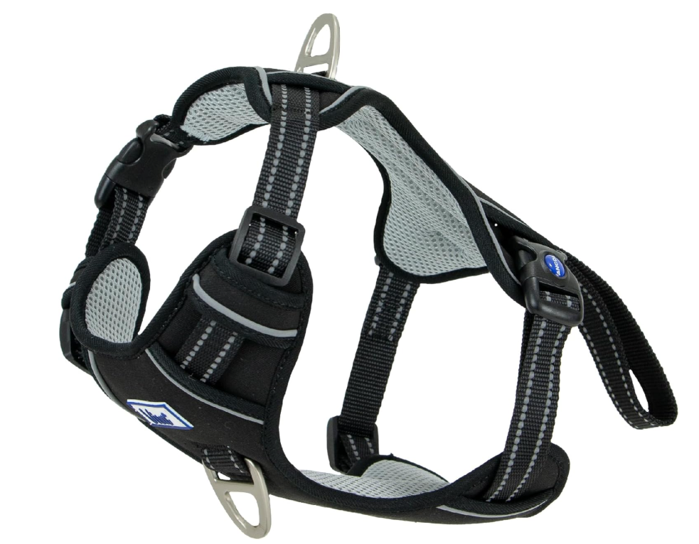 Viva Exercise and Travel Harness Black