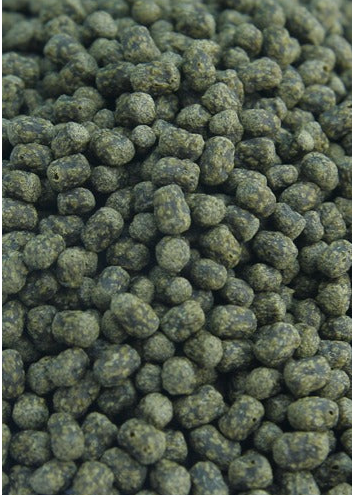 Ocean Nutrition Adult Turtle Pellets (60g)