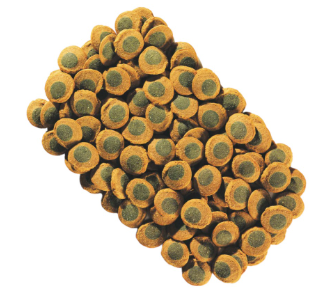 Tetra Pleco Spirulina Wafers
