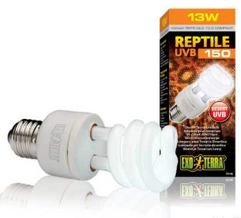 Exo Terra: Compact Desert Lamp