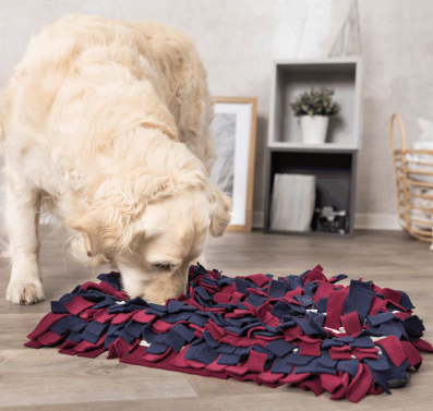 Trixie Dog Activity Sniffer Carpet Strategy