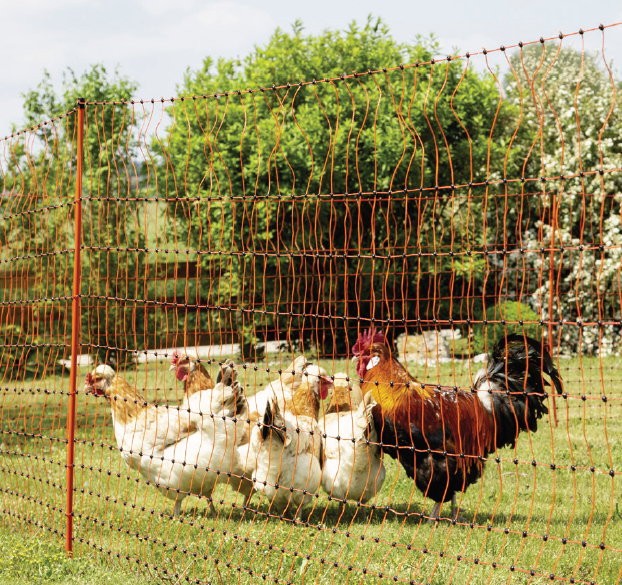 Electric Poultry Netting Single Prong 108cm x 50m