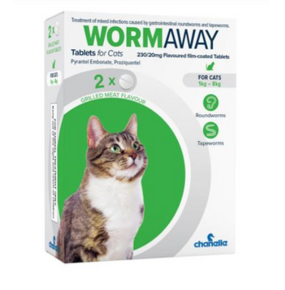 Cat Health & Grooming