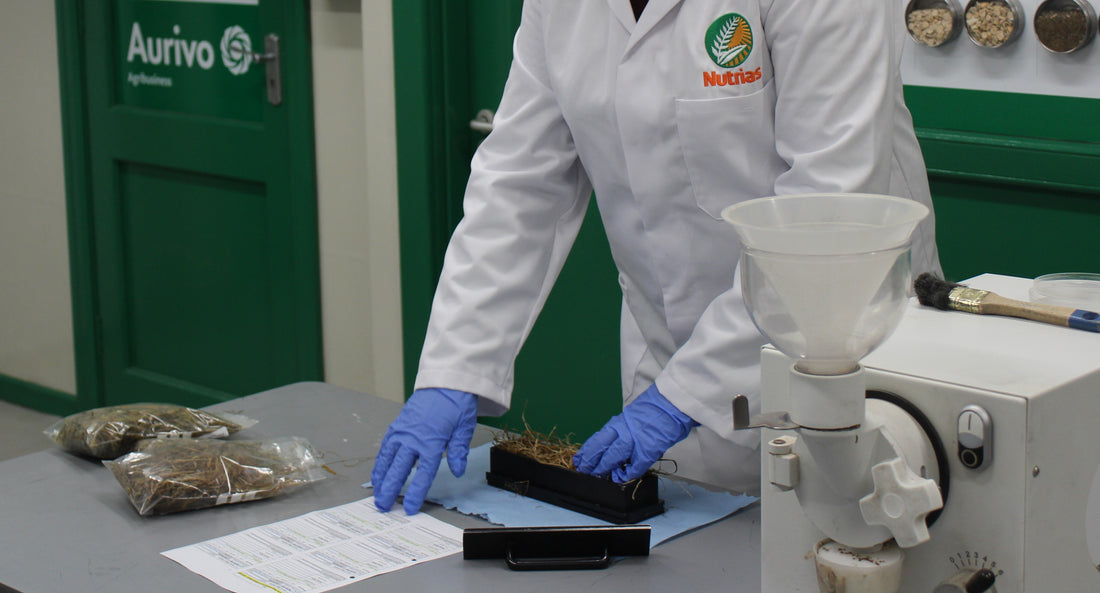 Beef Welfare Scheme Forage Testing Kit