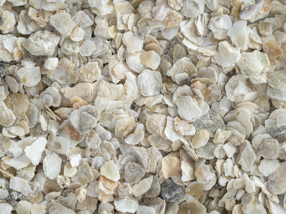 Poultry Oyster Shell Grit - 1kg