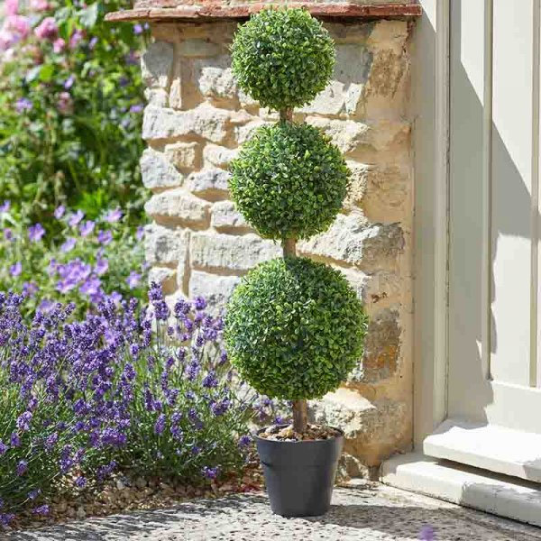 Boxwood Trio Topiary Tree 80 cm