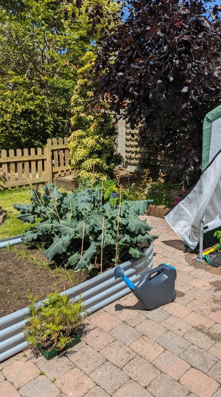1.8m Galvanised Raised Bed