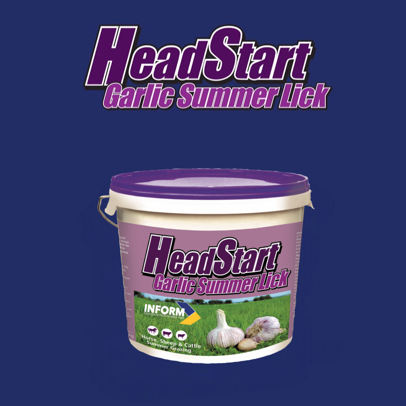HeadStart Garlic Summer Lick 18kg