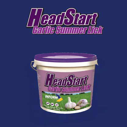 HeadStart Garlic Summer Lick 18kg