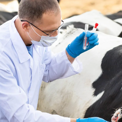 Animal Health