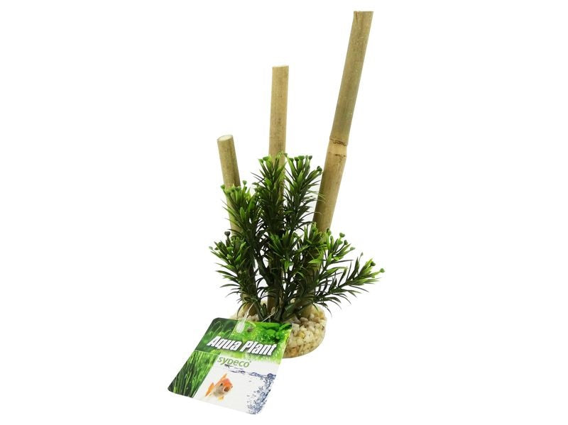 Aquarium Bamboo Forest Plants