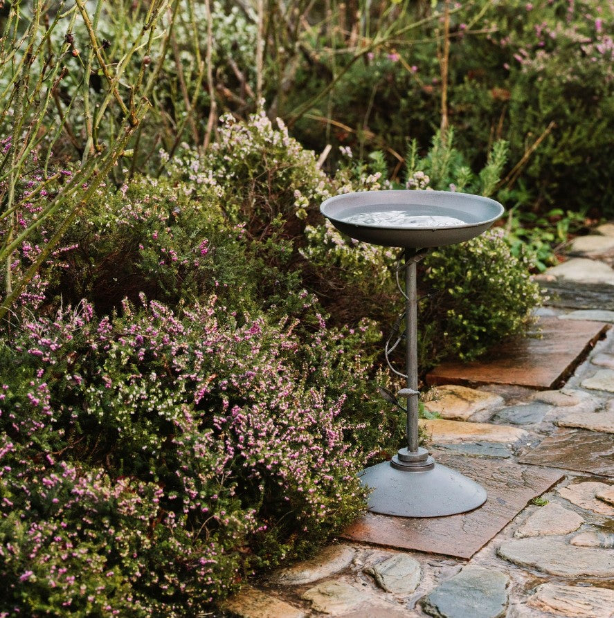 Peckish Secret Garden Bird Bath