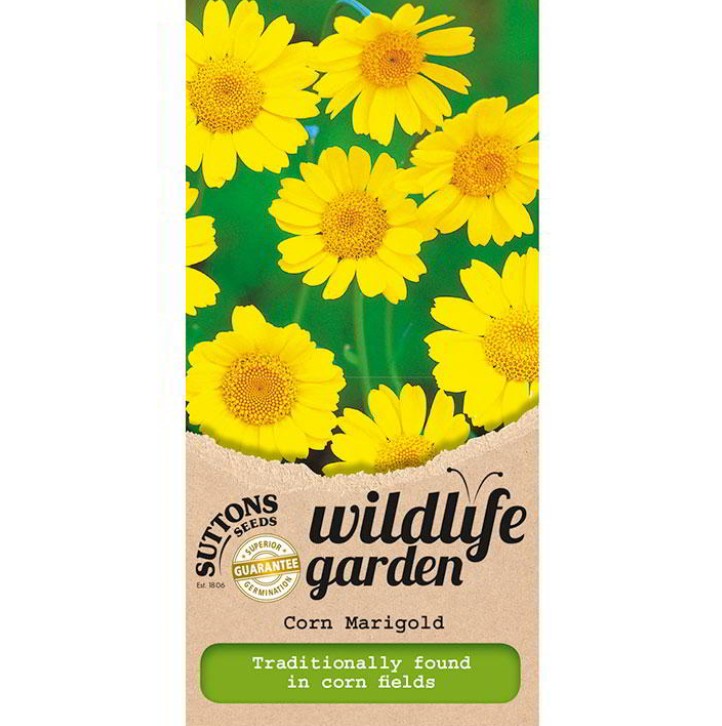 Corn Marigold Wildflower Seeds