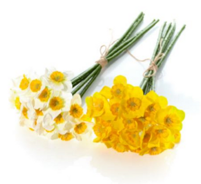 Spring Flowering Bulbs