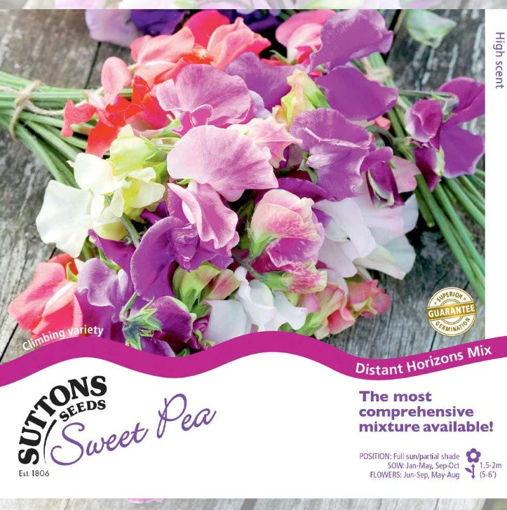 Sweet Pea Distant Horizons Mix Flower Seeds