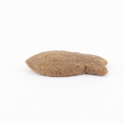 Fish4Dogs Skin &amp; Coat Mackerel Morsels 225g