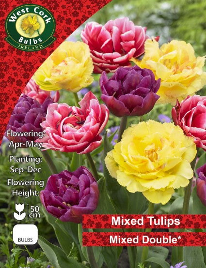 Tulip Mixed Double - 25 Bulbs