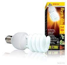 Exo Terra: Compact Desert Lamp